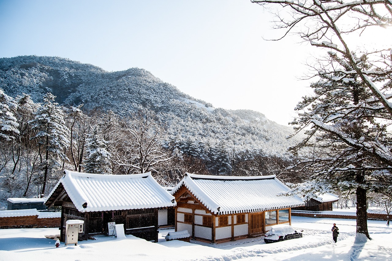 Viaggio di 5 giorni a Gwangju, Corea del Sud